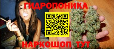 spice Кимры