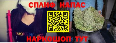 spice Кимры