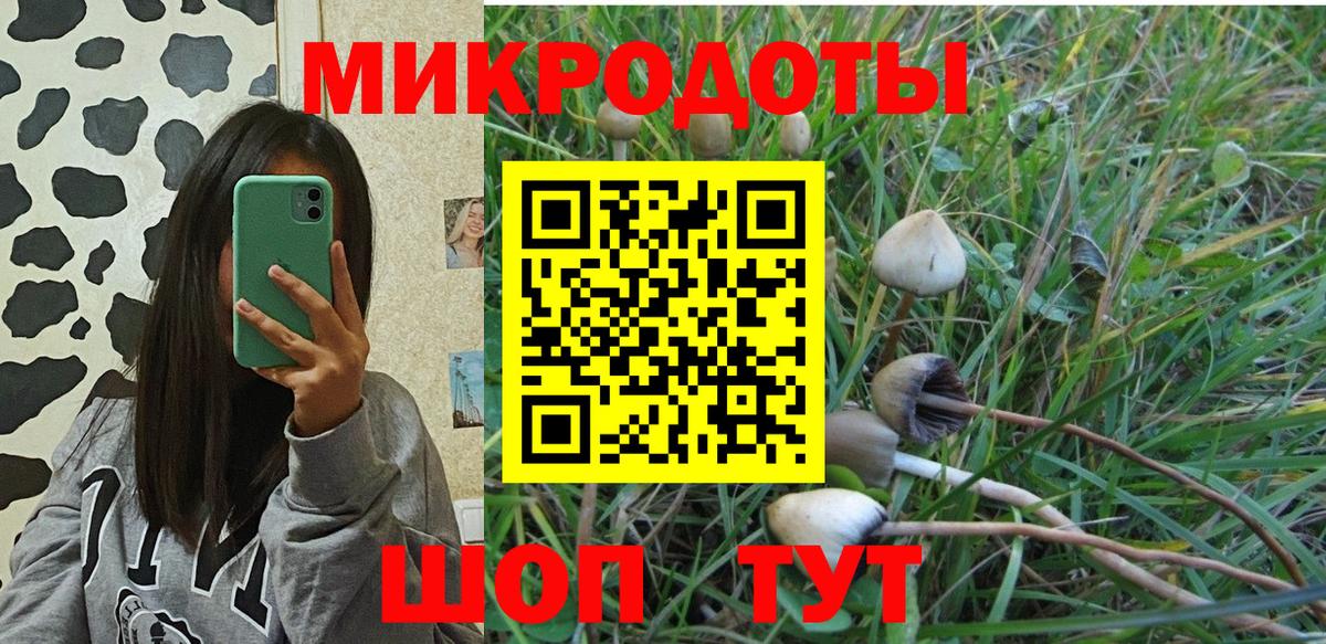 Галлюциногенные грибы прущие грибы  Вход с VPN  Ульяновск 